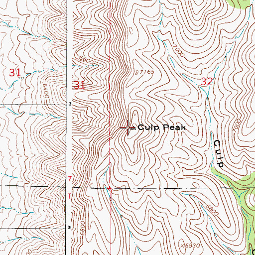 Topographic Map of Culp Peak, NM