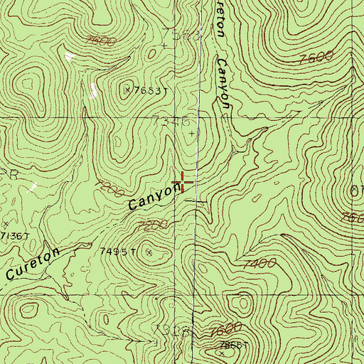 Topographic Map of Cureton Canyon, NM