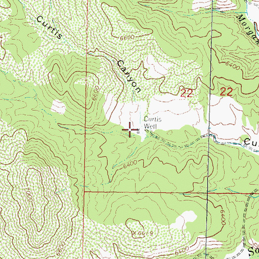 Topographic Map of Curtis Well, NM