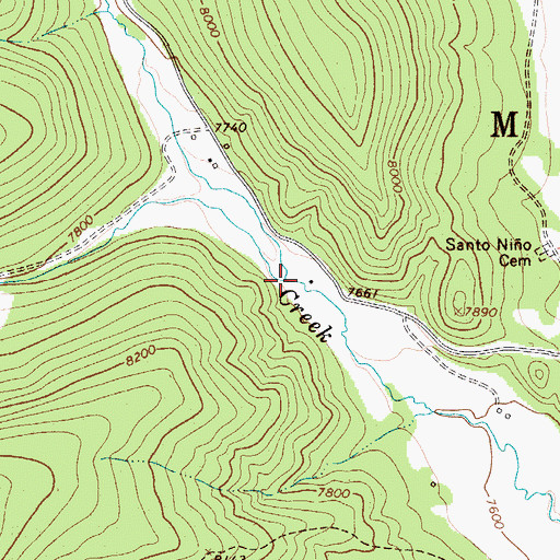 Topographic Map of Daily Creek, NM