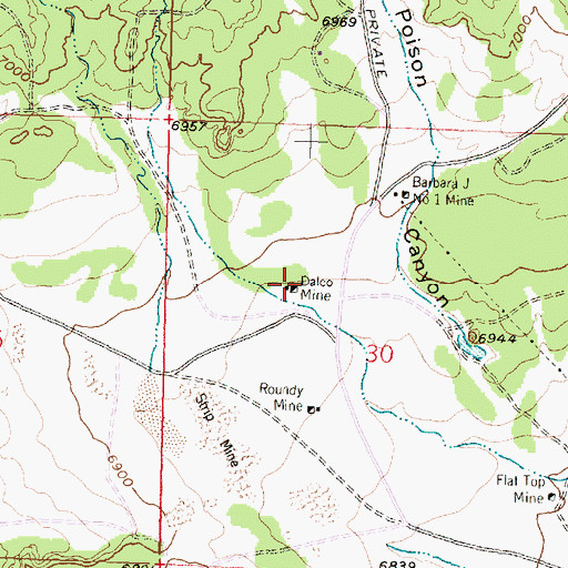Topographic Map of Dalco Mine, NM