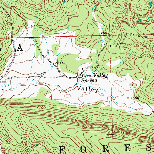 Topographic Map of Dan Valley Spring, NM