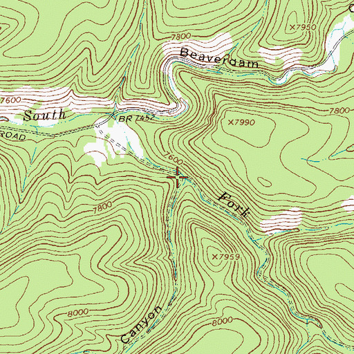 Topographic Map of Dark Canyon, NM