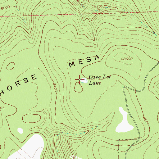 Topographic Map of Dave Lee Lake, NM