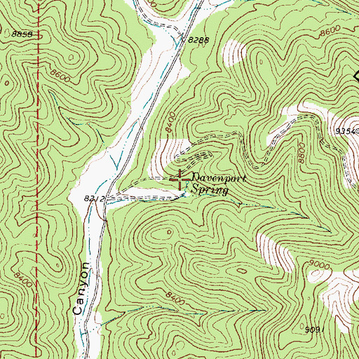 Topographic Map of Davenport Spring, NM