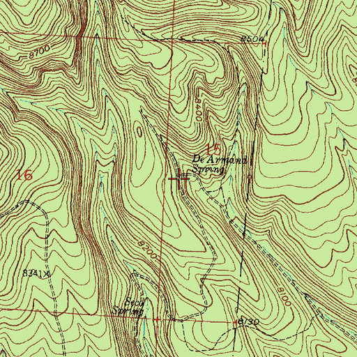 Topographic Map of De Armand Spring, NM