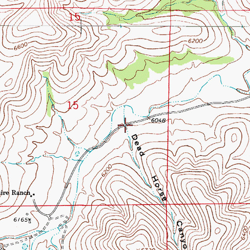 Topographic Map of Dead Horse Canyon, NM