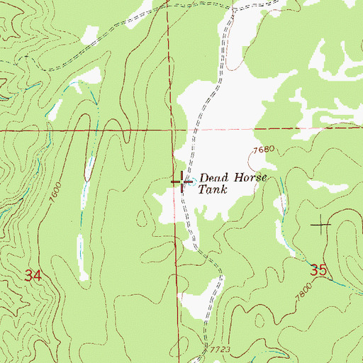 Topographic Map of Dead Horse Tank, NM