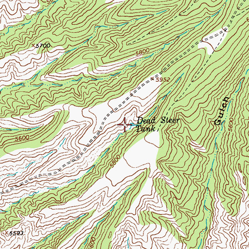Topographic Map of Dead Steer Tank, NM