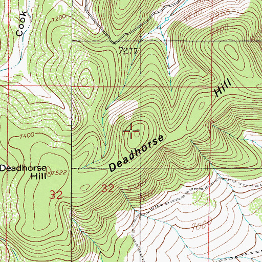 Topographic Map of Deadhorse Hill, NM