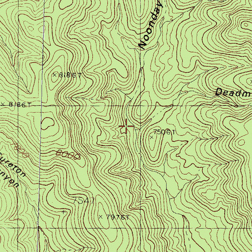 Topographic Map of Deadman Canyon, NM