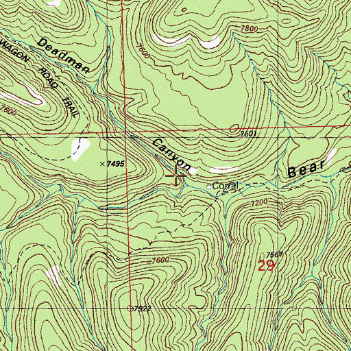 Topographic Map of Deadman Canyon, NM