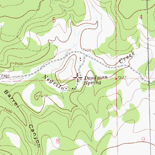 Topographic Map of Deadman Spring, NM