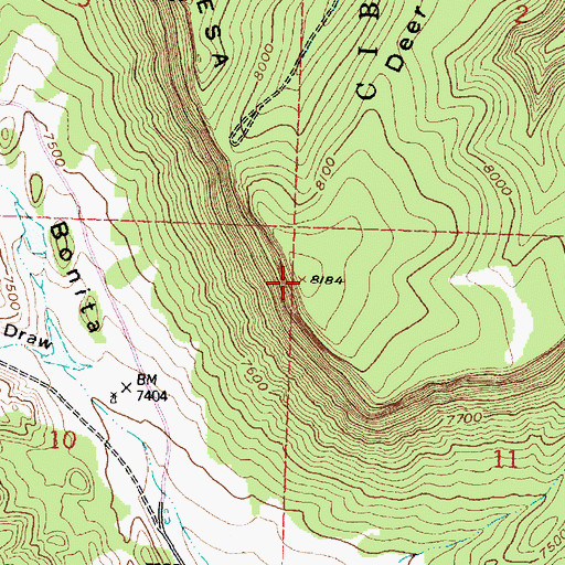 Topographic Map of Deer Hill, NM