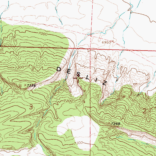 Topographic Map of Desliz, NM