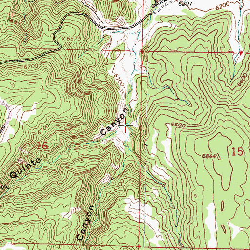 Topographic Map of Devils Canyon, NM