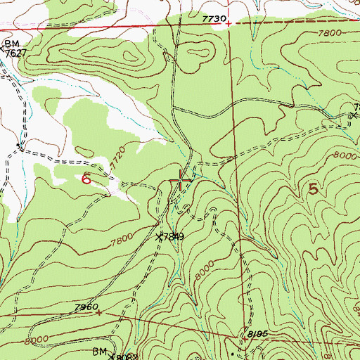 Topographic Map of Diener Canyon, NM