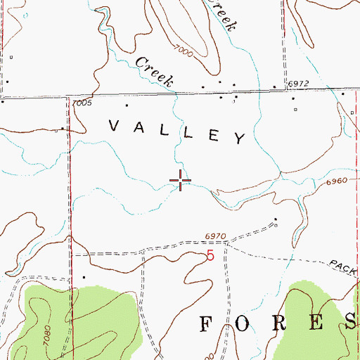 Topographic Map of Dillman Creek, NM