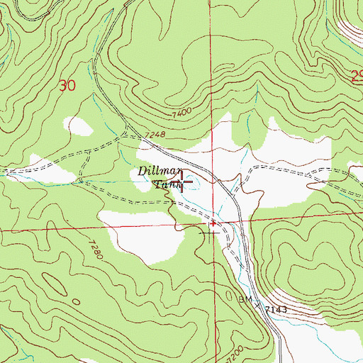 Topographic Map of Dillman Tank, NM