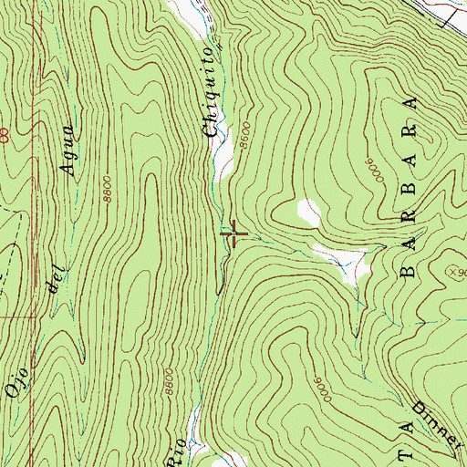 Topographic Map of Dinner Canyon, NM