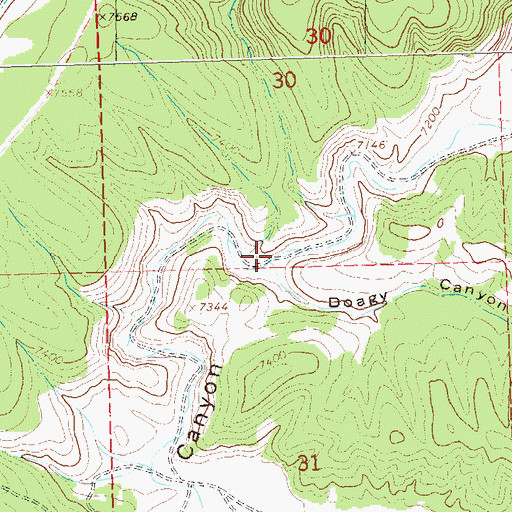 Topographic Map of Doagy Canyon, NM