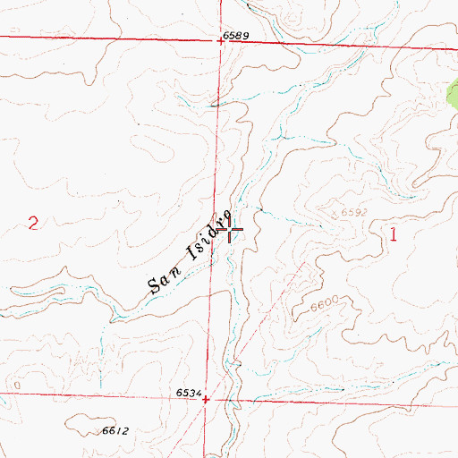 Topographic Map of Doctor Arroyo, NM
