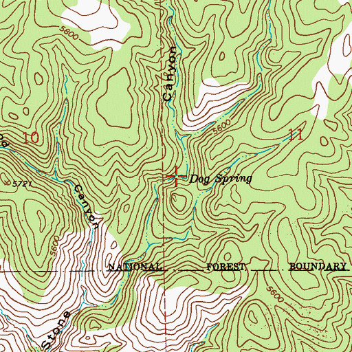 Topographic Map of Dog Spring, NM