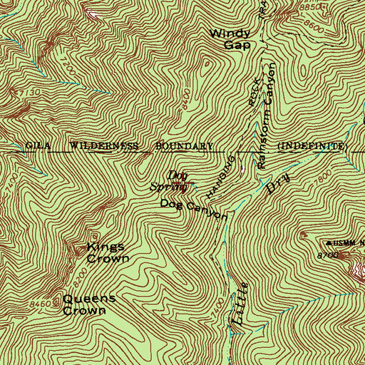 Topographic Map of Dog Spring, NM