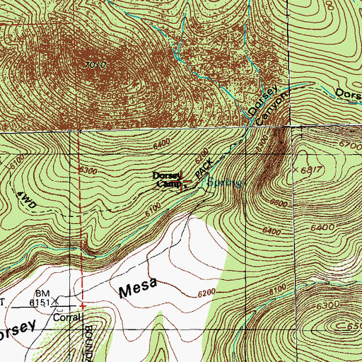 Topographic Map of Dorsey Camp, NM