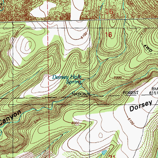 Topographic Map of Dorsey Hole Spring, NM