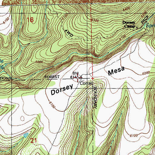 Topographic Map of Dorsey Mesa, NM