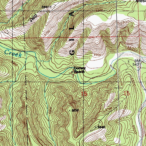 Topographic Map of Dorsey Spring, NM