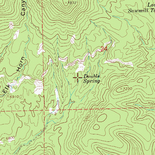 Topographic Map of Double Spring, NM