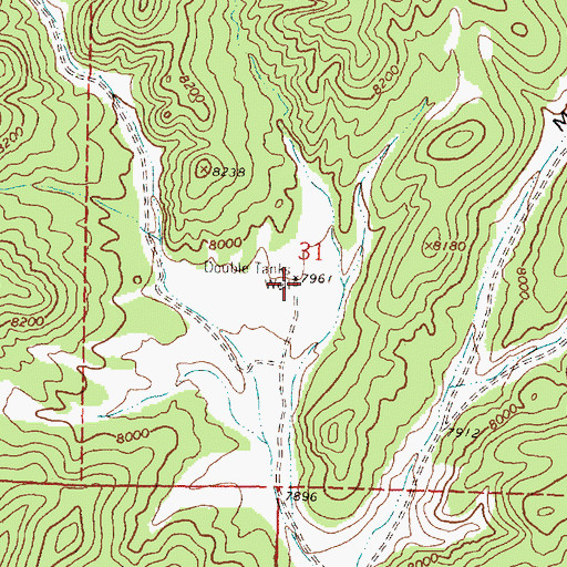 Topographic Map of Double Tanks Well, NM