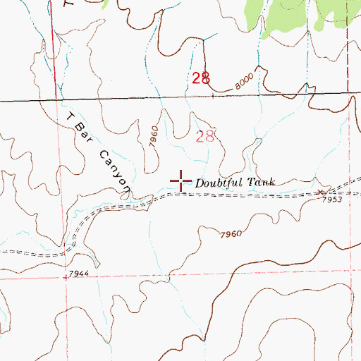 Topographic Map of Doubtful Tank, NM