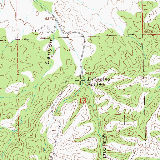 Topographic Map of Dripping Spring, NM