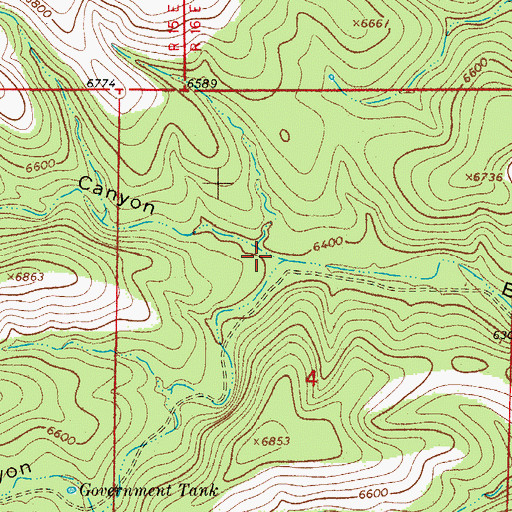 Topographic Map of Dry Burnt Canyon, NM