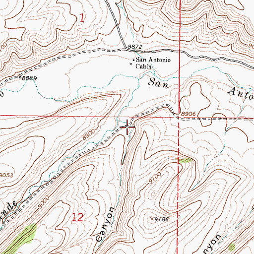Topographic Map of Dry Canyon, NM