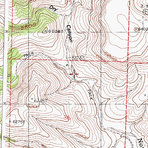 Topographic Map of Dry Canyon, NM