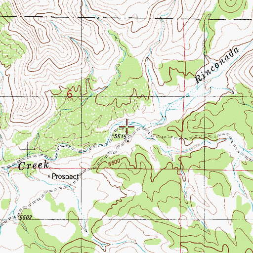 Topographic Map of Dry Canyon, NM