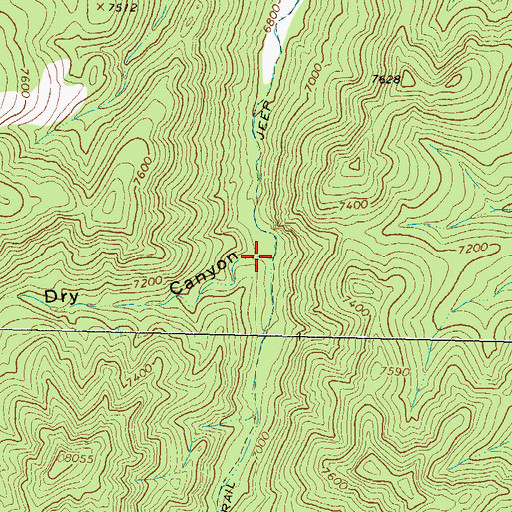Topographic Map of Dry Canyon, NM