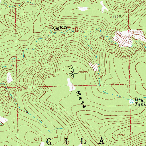 Topographic Map of Dry Mesa, NM