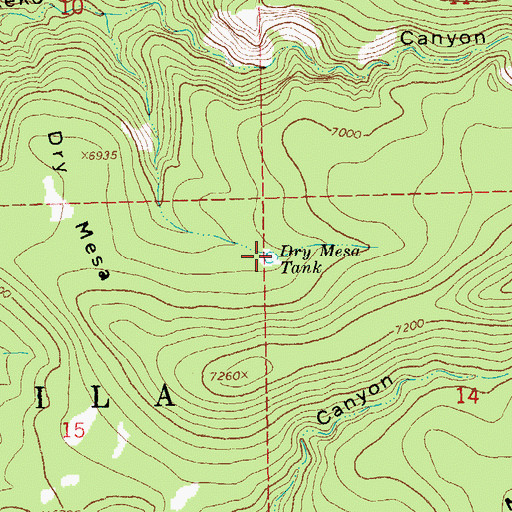 Topographic Map of Dry Mesa Tank, NM