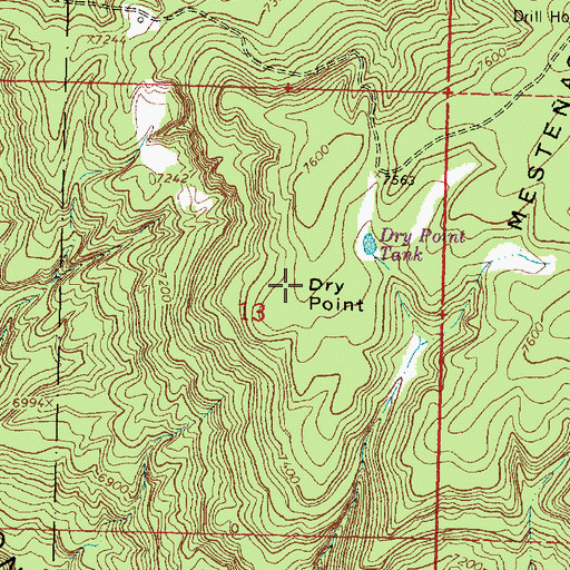 Topographic Map of Dry Point, NM