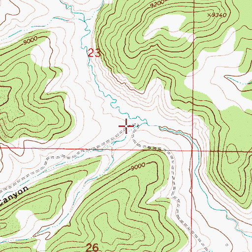 Topographic Map of Duran Canyon, NM