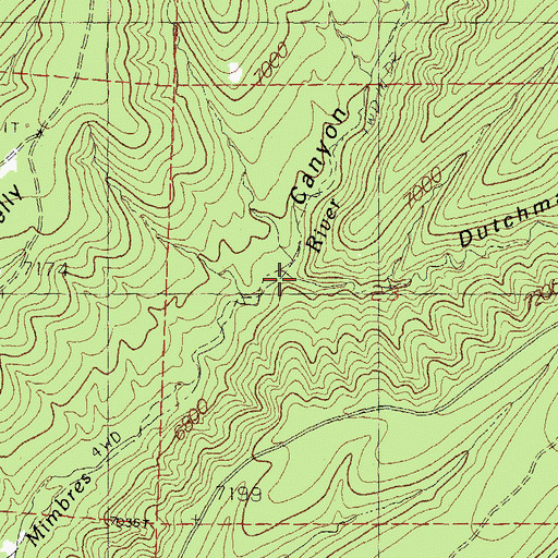 Topographic Map of Dutchman Canyon, NM