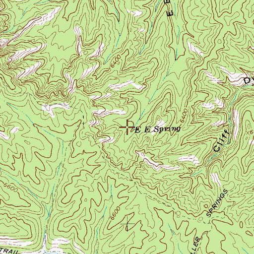 Topographic Map of E E Spring, NM