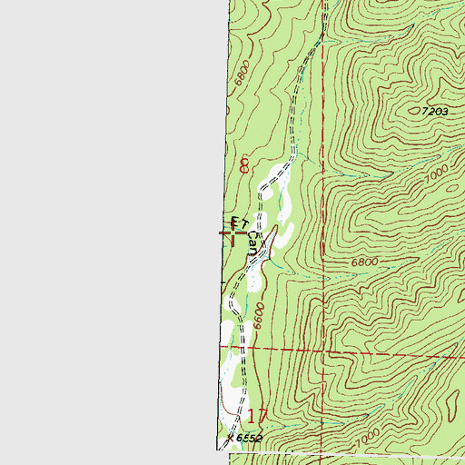 Topographic Map of E T Canyon, NM