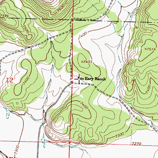 Topographic Map of Eary Ranch, NM