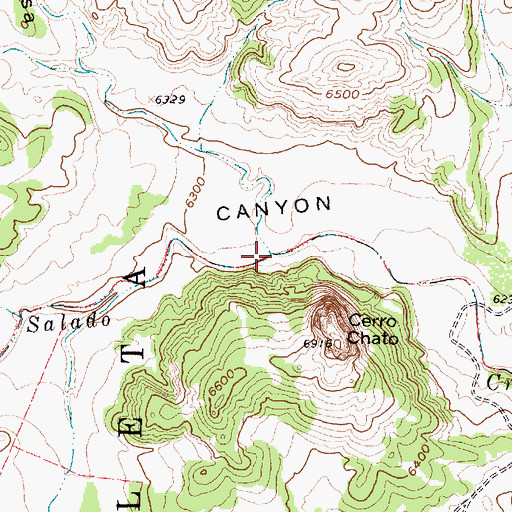 Topographic Map of East Caon de Santa Rosa, NM